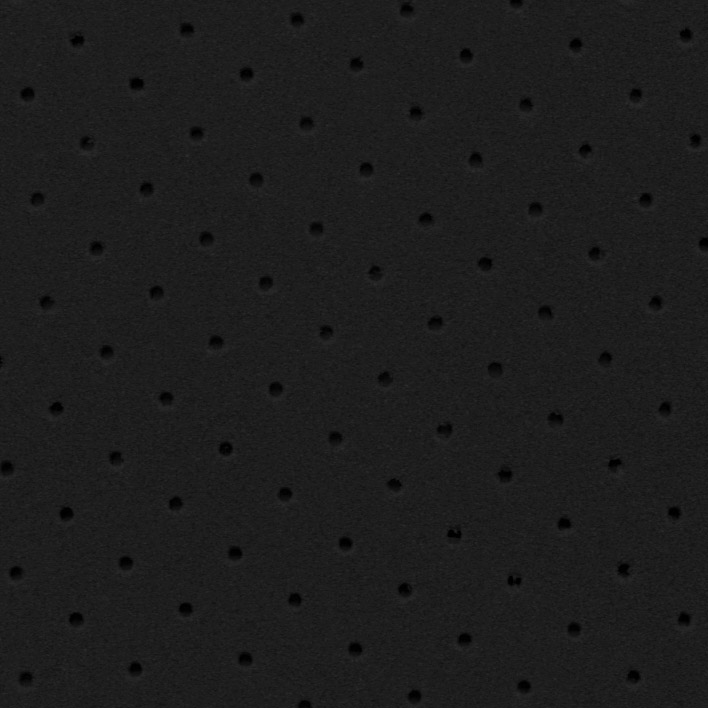 multiform black perf-1