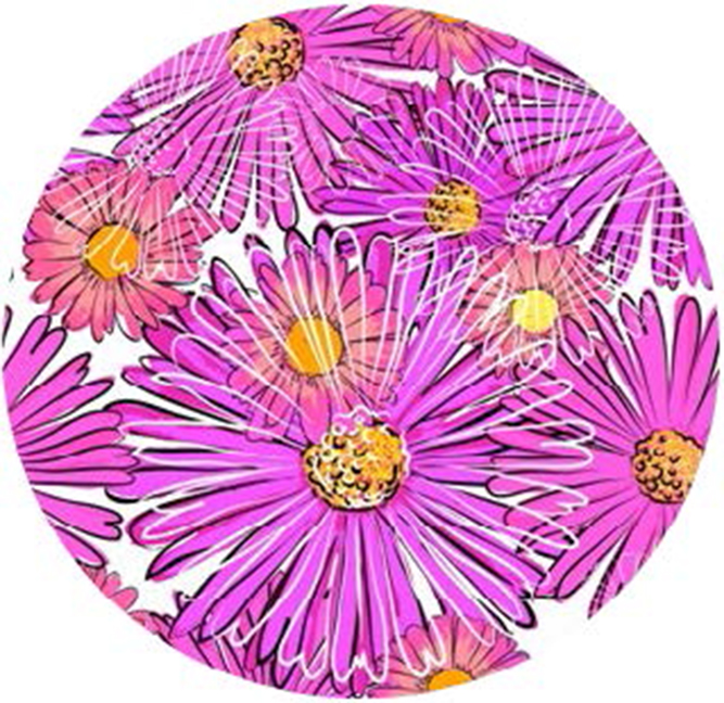 Ortho Transfer Paper39