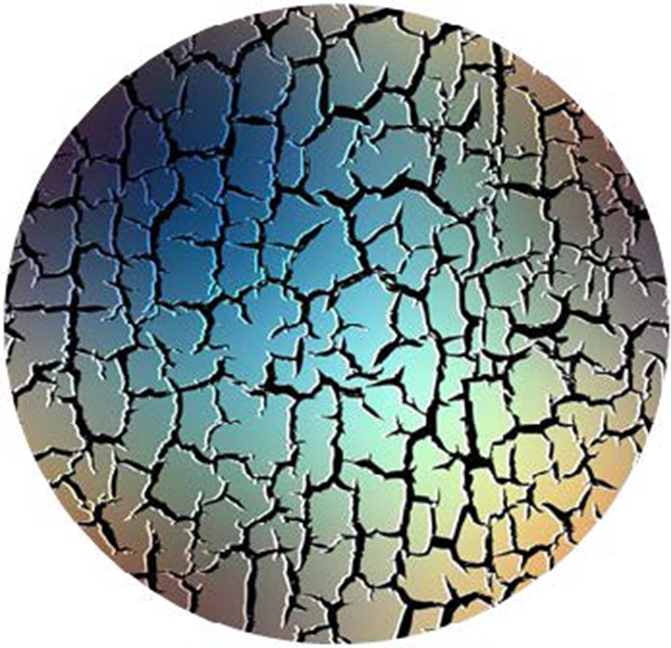 Ortho Transfer Paper1