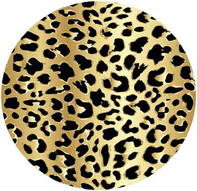 Ortho Transfer Paper2