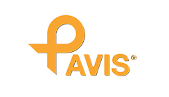 Pavis