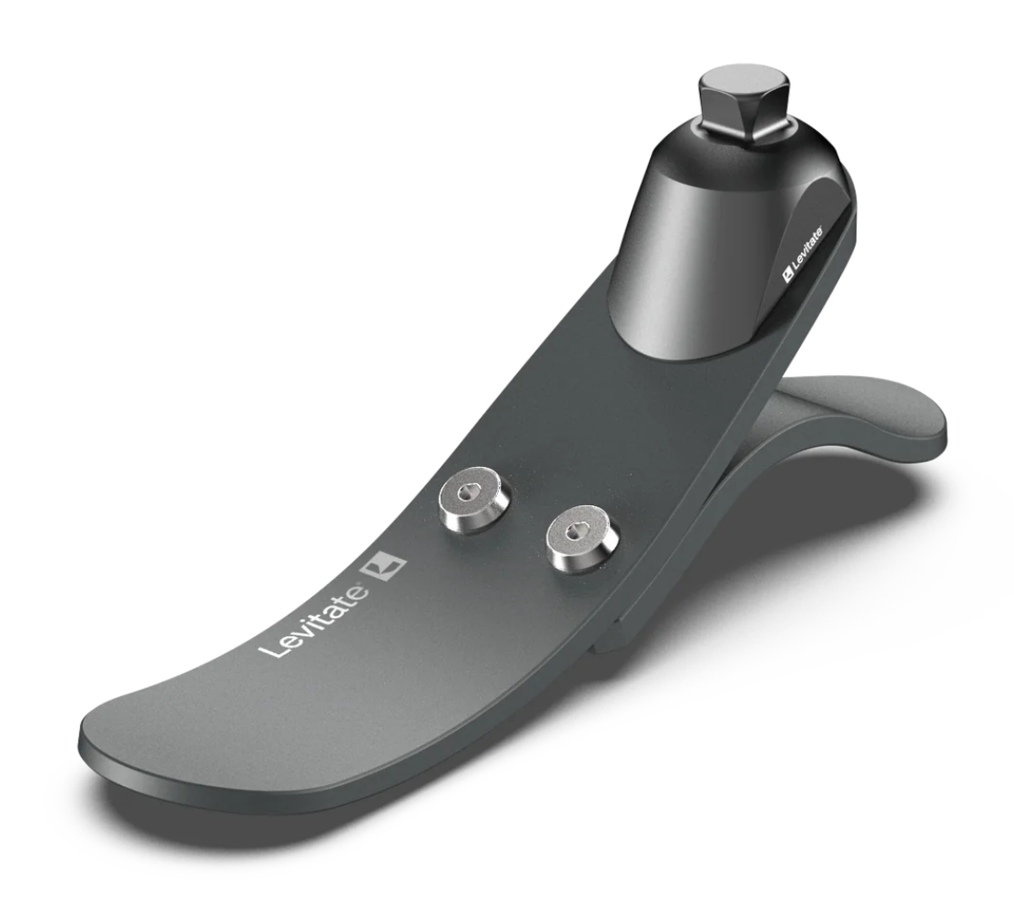 Levitate Forever LP - Image 2