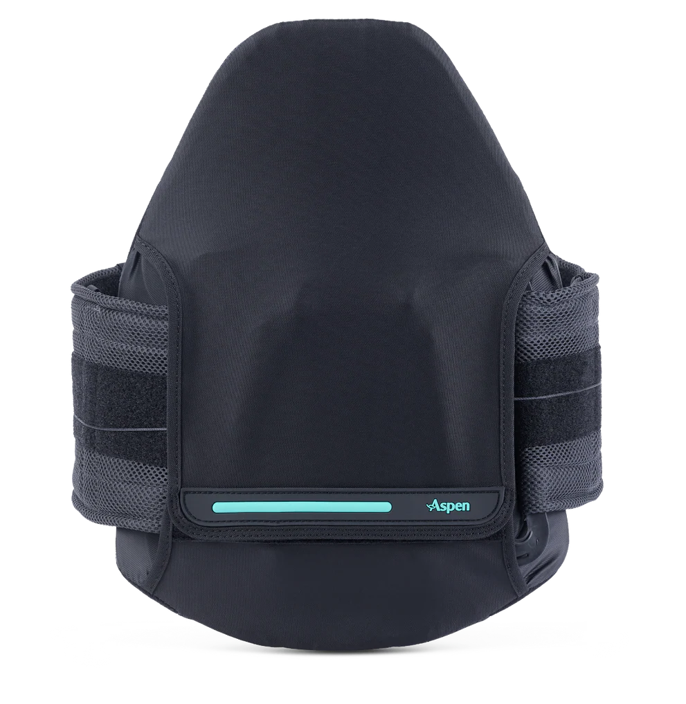 Aspen Horizon PRO 631