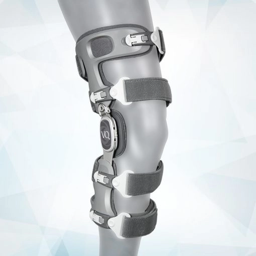 Oactive 2